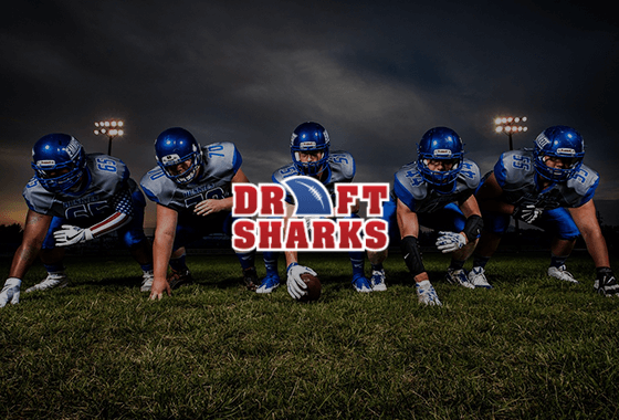 Draft Sharks PPC Case Study